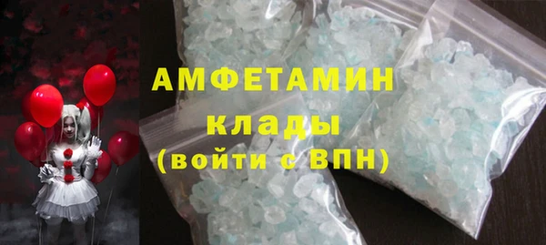 сатива Сатка