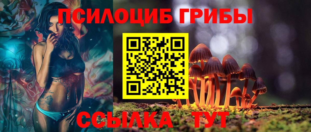 Галлюциногенные грибы мухоморы Медногорск