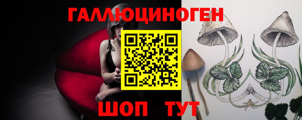 Галлюциногенные грибы GOLDEN TEACHER  Псилоцибиновые грибы MAGIC MUSHROOMS  Вход с VPN  Медногорск 