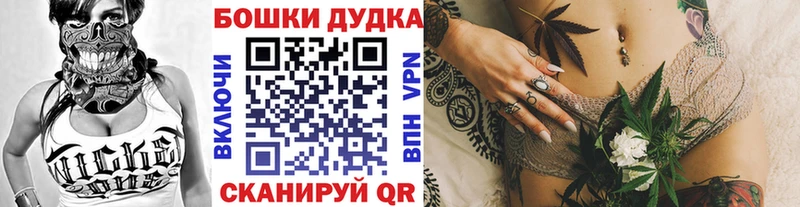 Конопля Bruce Banner  Медногорск 